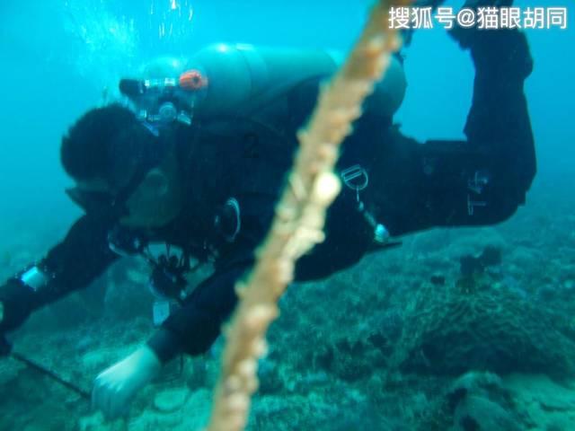 幻境森林大逃生